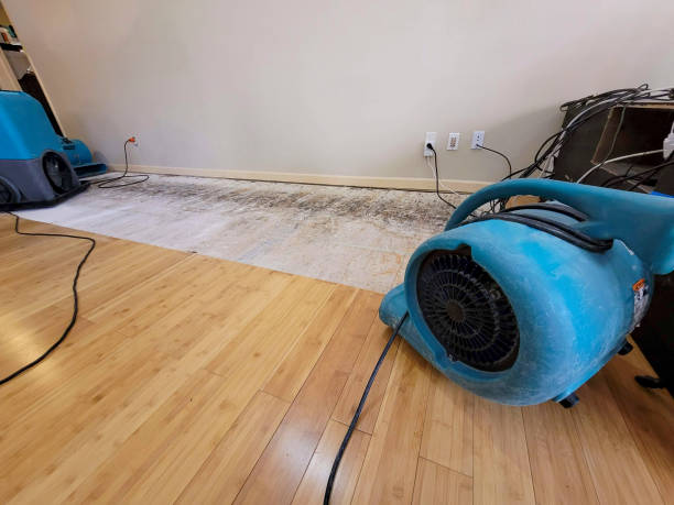Professional Water Damage Repair technician working in Fiskeville, RI
